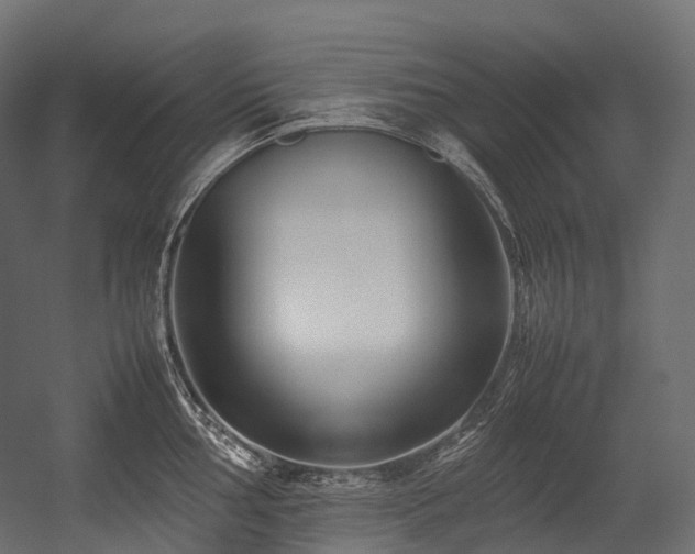 X0000054391002200507291139