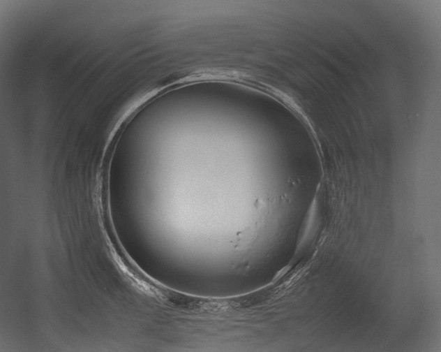 X0000054391003200507291139