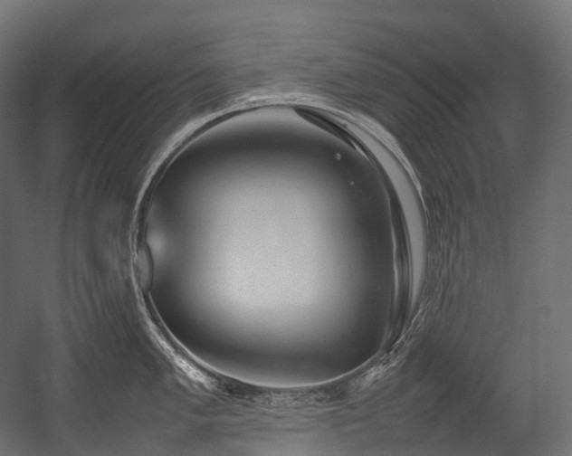 X0000054391005200507291139