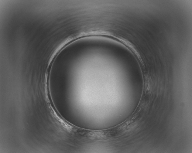 X0000054391006200507291139