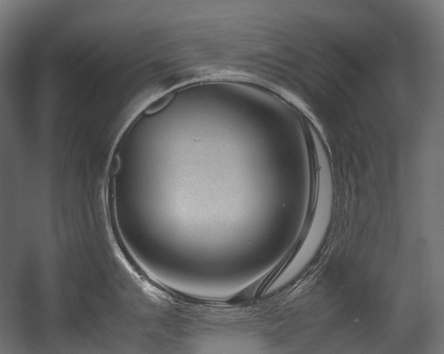 X0000054391007200507291139