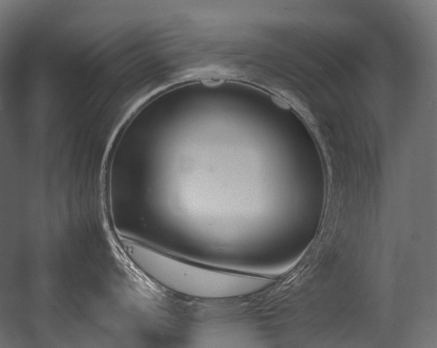 X0000054391008200507291139