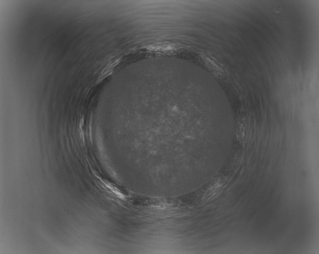 X0000054391010200507291138