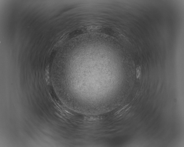 X0000054391011200507291138