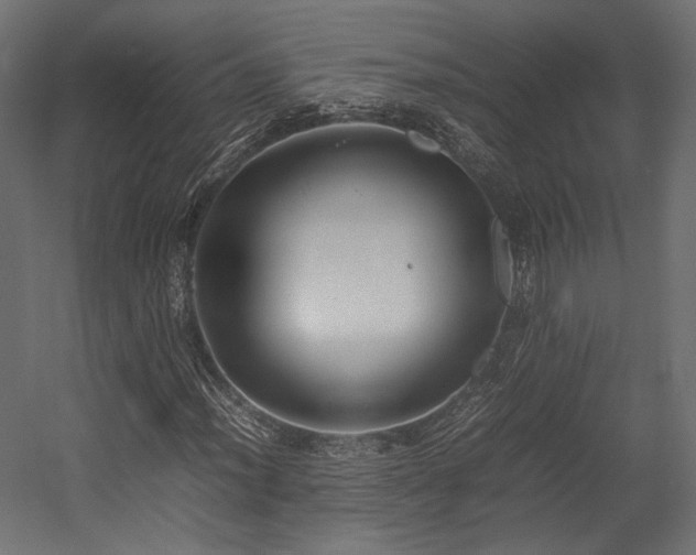 X0000054391012200507291138
