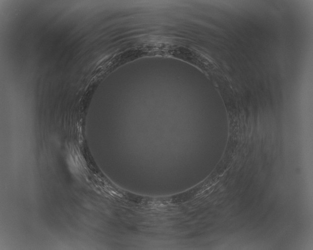 X0000054391013200507291138