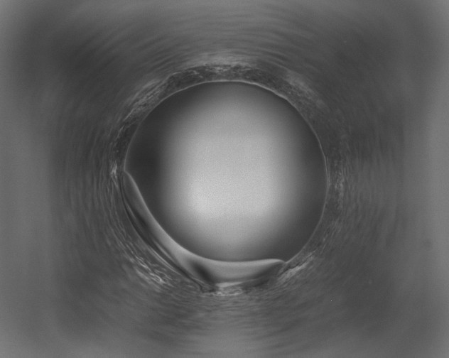 X0000054391014200507291138