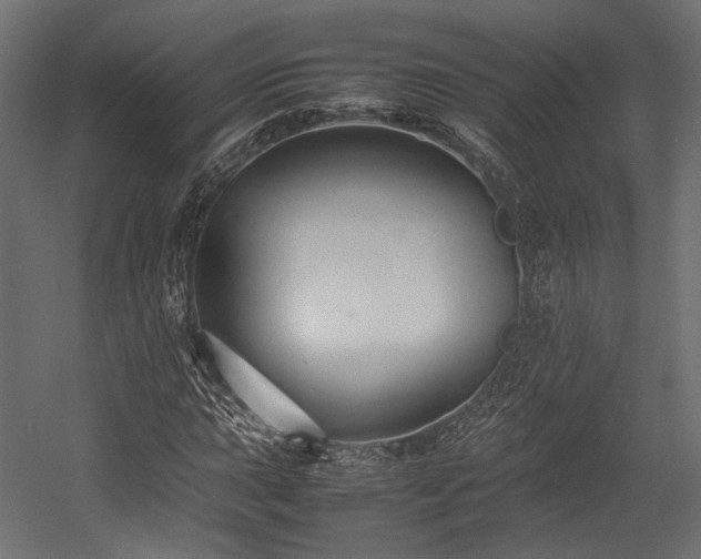 X0000054391015200507291138