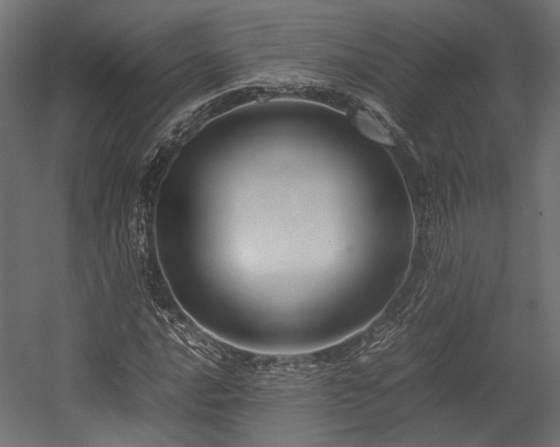 X0000054391016200507291138