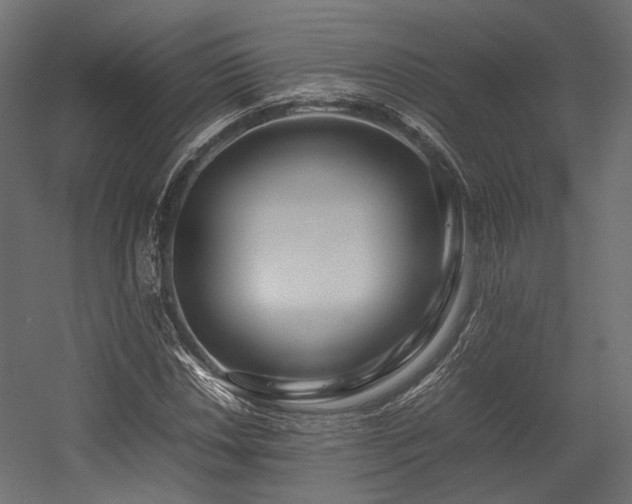 X0000054391018200507291138