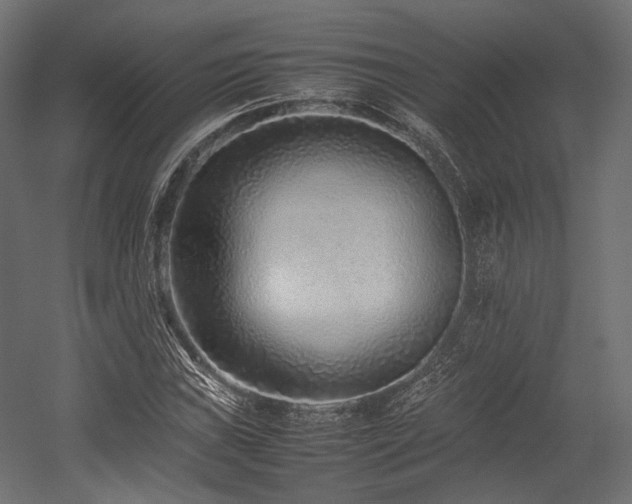 X0000054391019200507291138