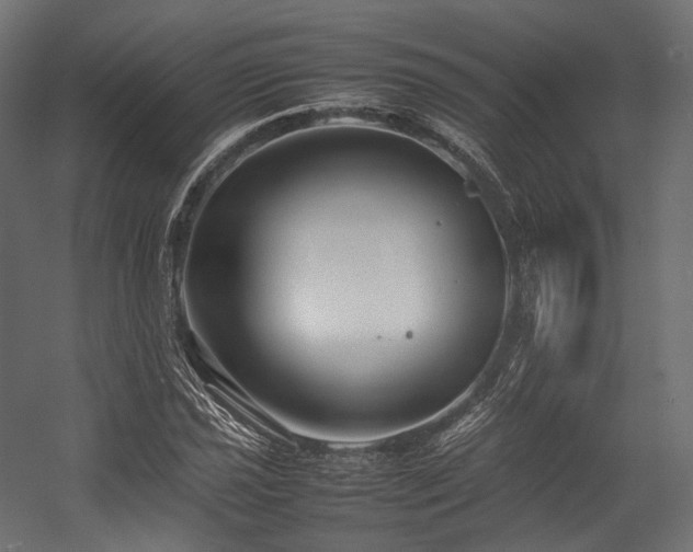 X0000054391021200507291138