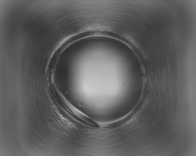 X0000054391022200507291138