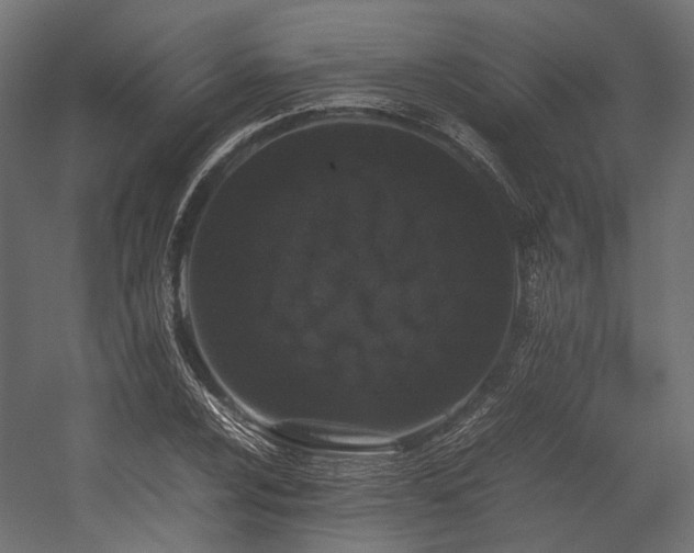 X0000054391024200507291138