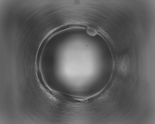 X0000054391028200507291138