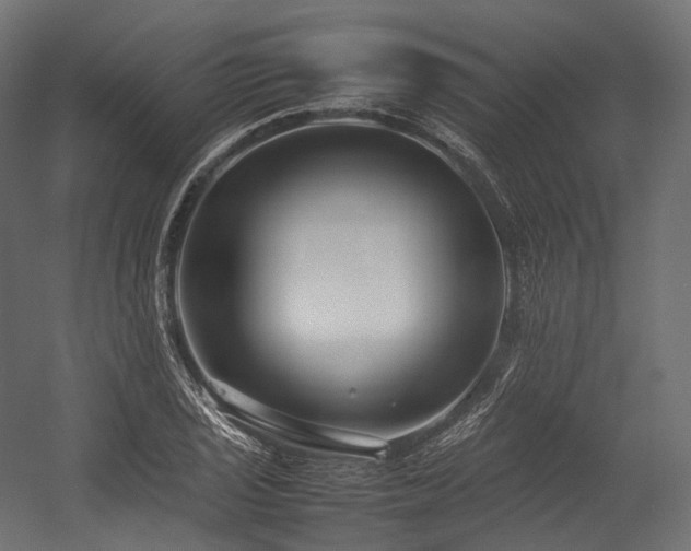 X0000054391029200507291138