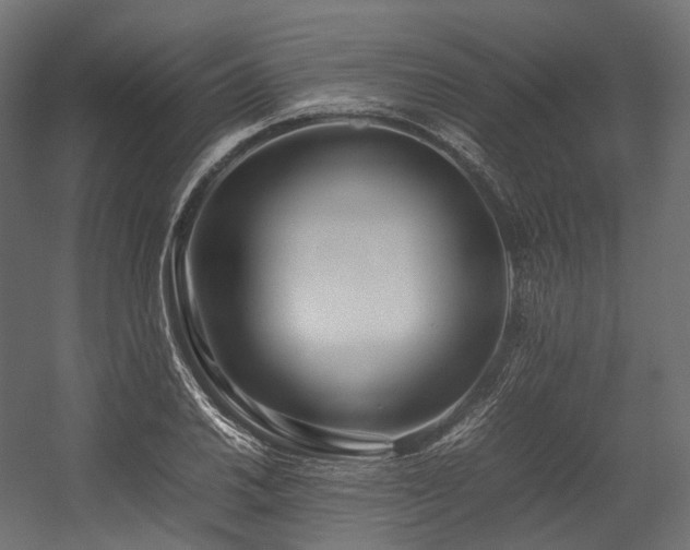 X0000054391030200507291138