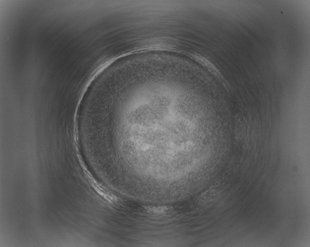 X0000054391031200507291138