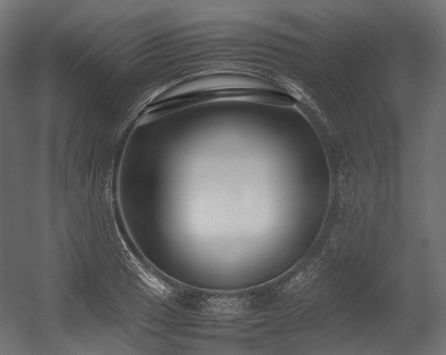 X0000054391033200507291138