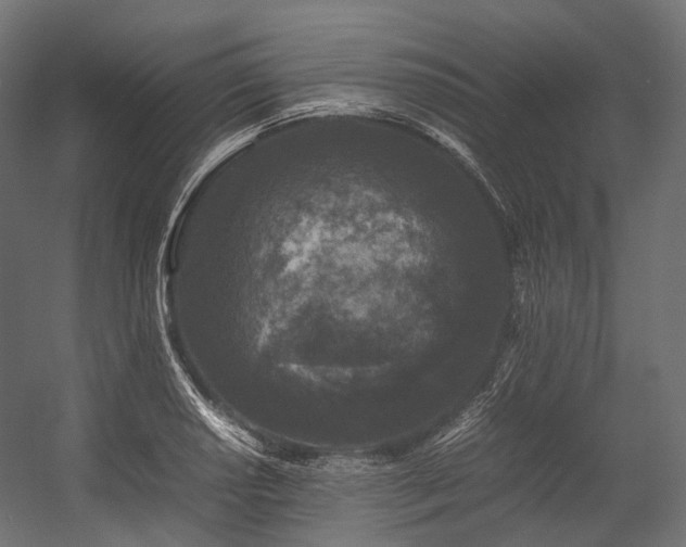 X0000054391034200507291138