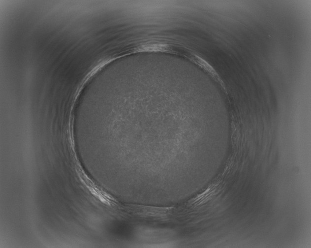 X0000054391035200507291138