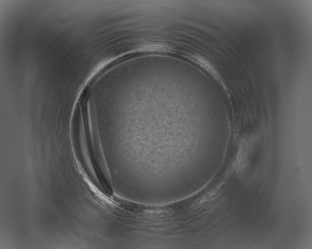 X0000054391037200507291138