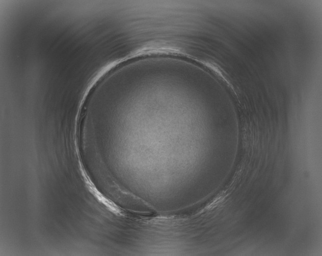 X0000054391038200507291138