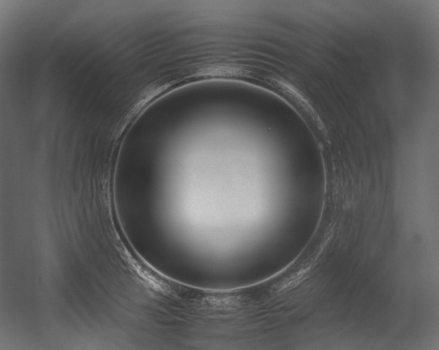 X0000054391041200507291138