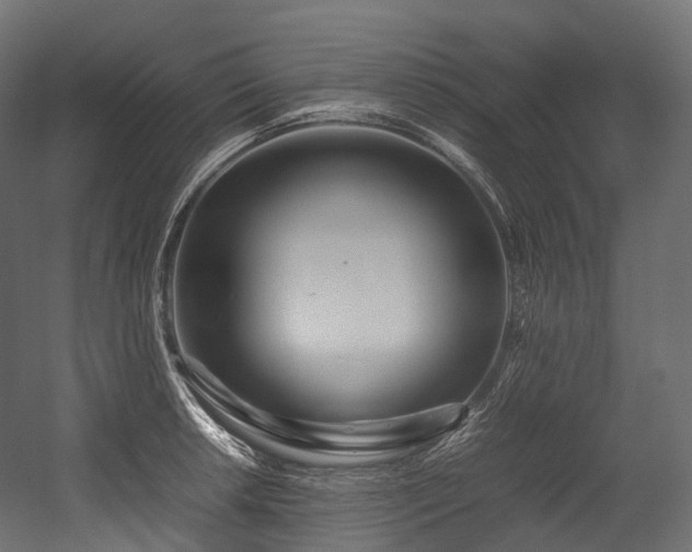 X0000054391042200507291138