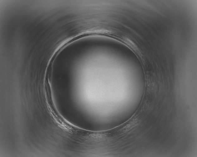 X0000054391044200507291138