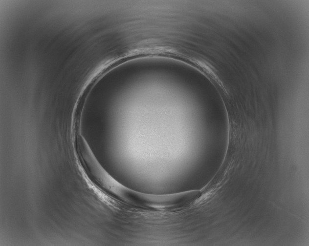 X0000054391046200507291138