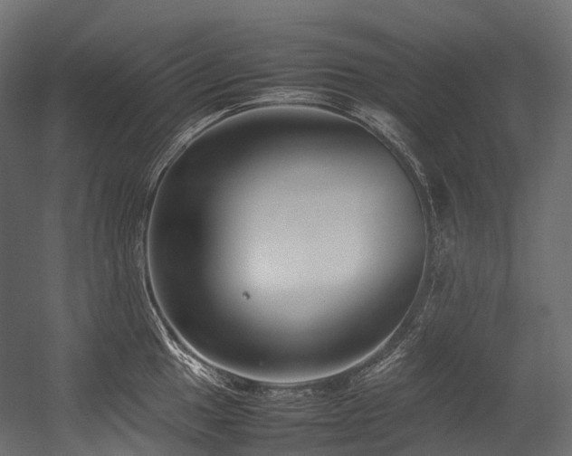 X0000054391049200507291138