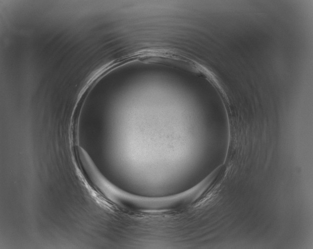 X0000054391050200507291138