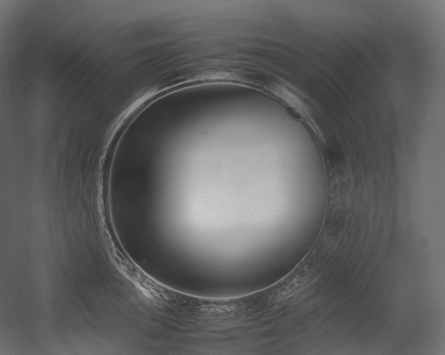 X0000054391051200507291138