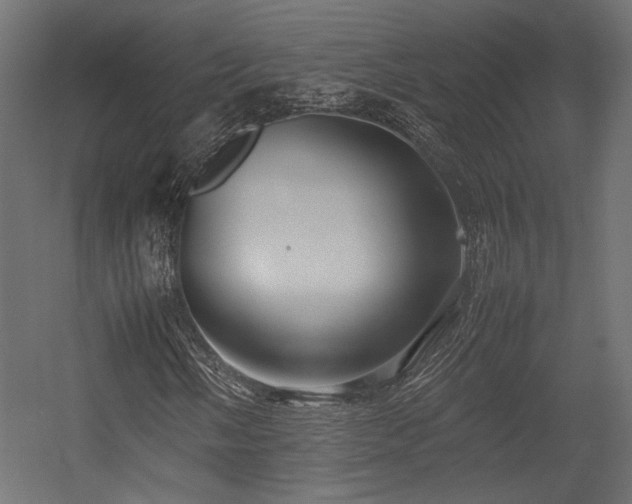 X0000054391058200507291138