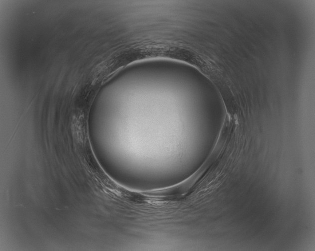 X0000054391059200507291138