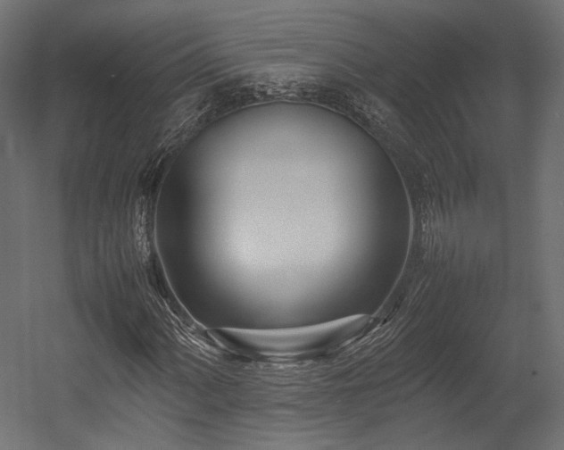 X0000054391060200507291138
