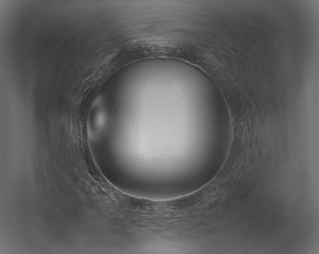 X0000054391061200507291138