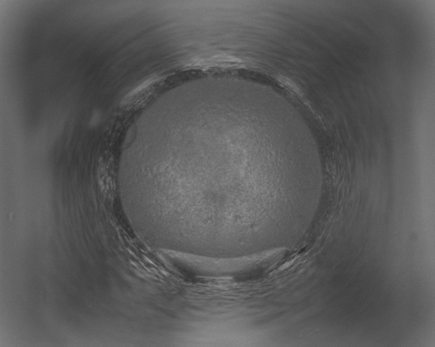 X0000054391063200507291138