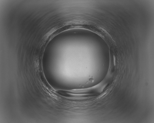 X0000054391065200507291138