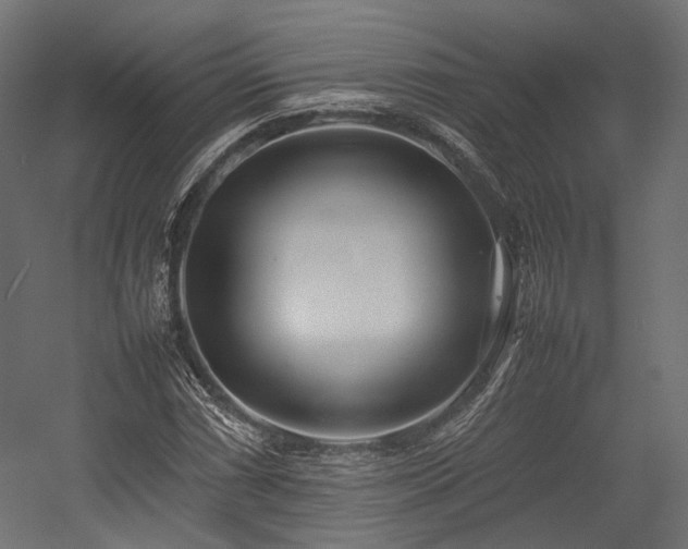 X0000054391066200507291138
