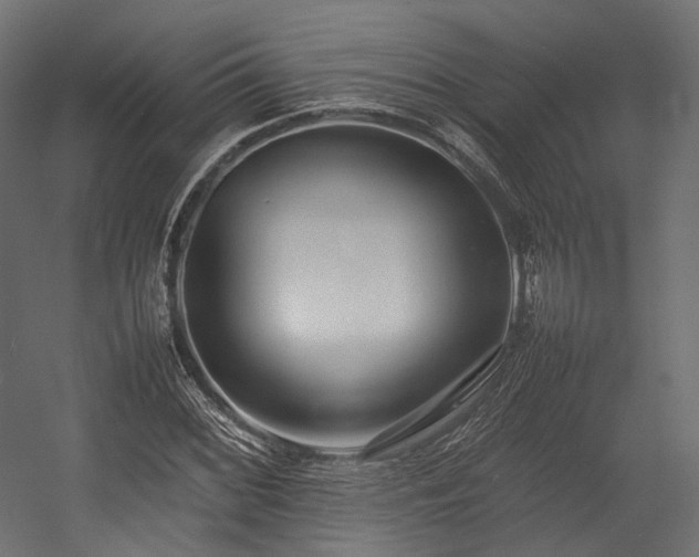 X0000054391068200507291137