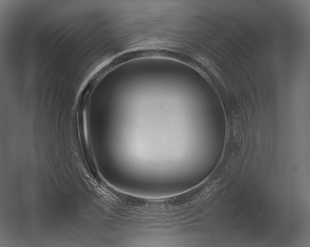 X0000054391069200507291137