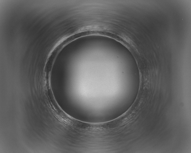 X0000054391070200507291137