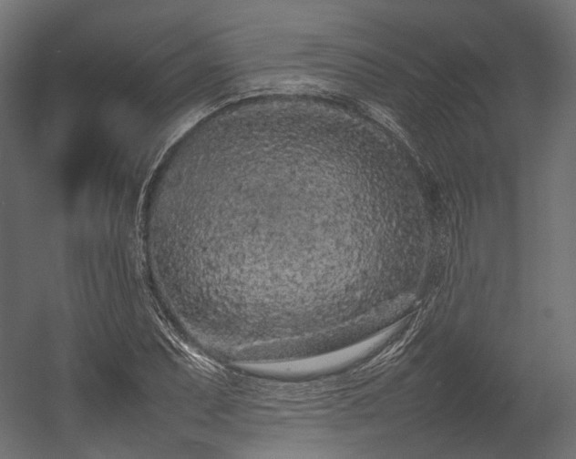 X0000054391071200507291137