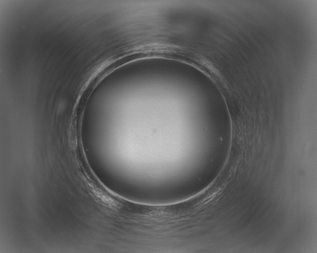 X0000054391075200507291137