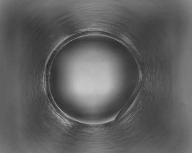 X0000054391076200507291137