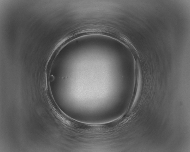 X0000054391079200507291137