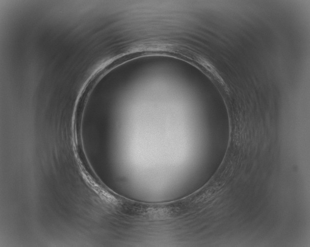 X0000054391080200507291137