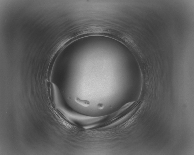 X0000054391081200507291137